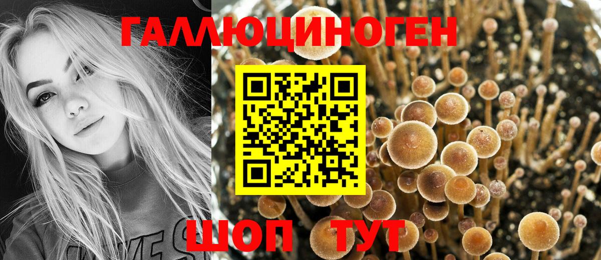 Горячий Ключ  Галлюциногенные грибы GOLDEN TEACHER  Вход с VPN 