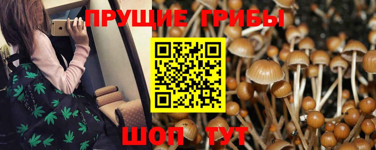 Галлюциногенные грибы прущие грибы Горячий Ключ